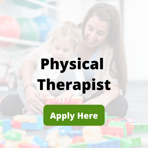 Physical Therapist Jobs